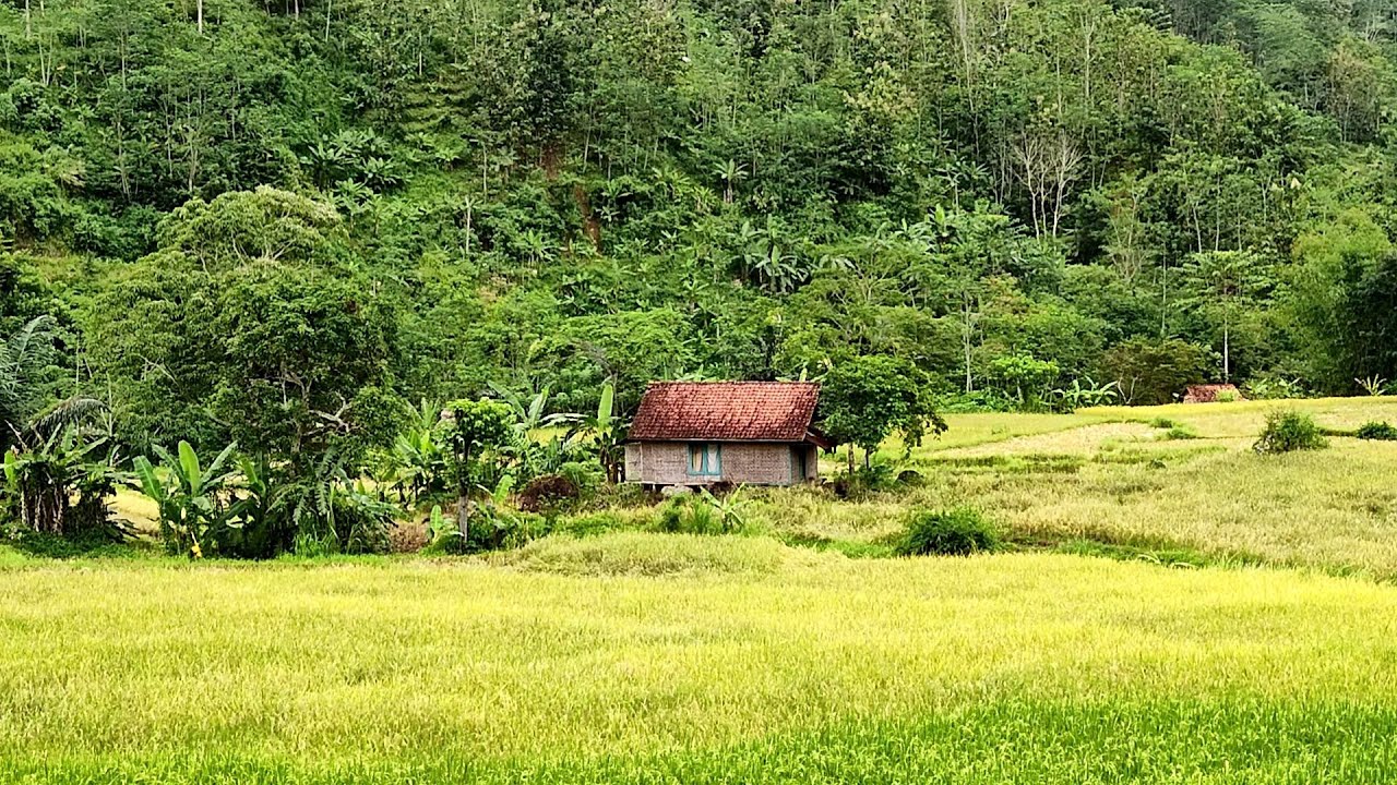 Tips Fotografi Perjalanan Di Tempat Terpencil