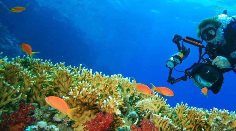 Mengenal Fotografi Underwater - Alat Dan Teknik